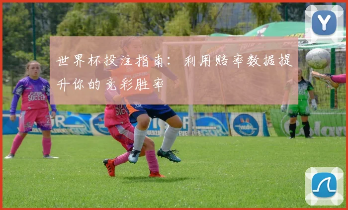 世界杯投注指南:利用赔率数据提升你的竞彩胜率